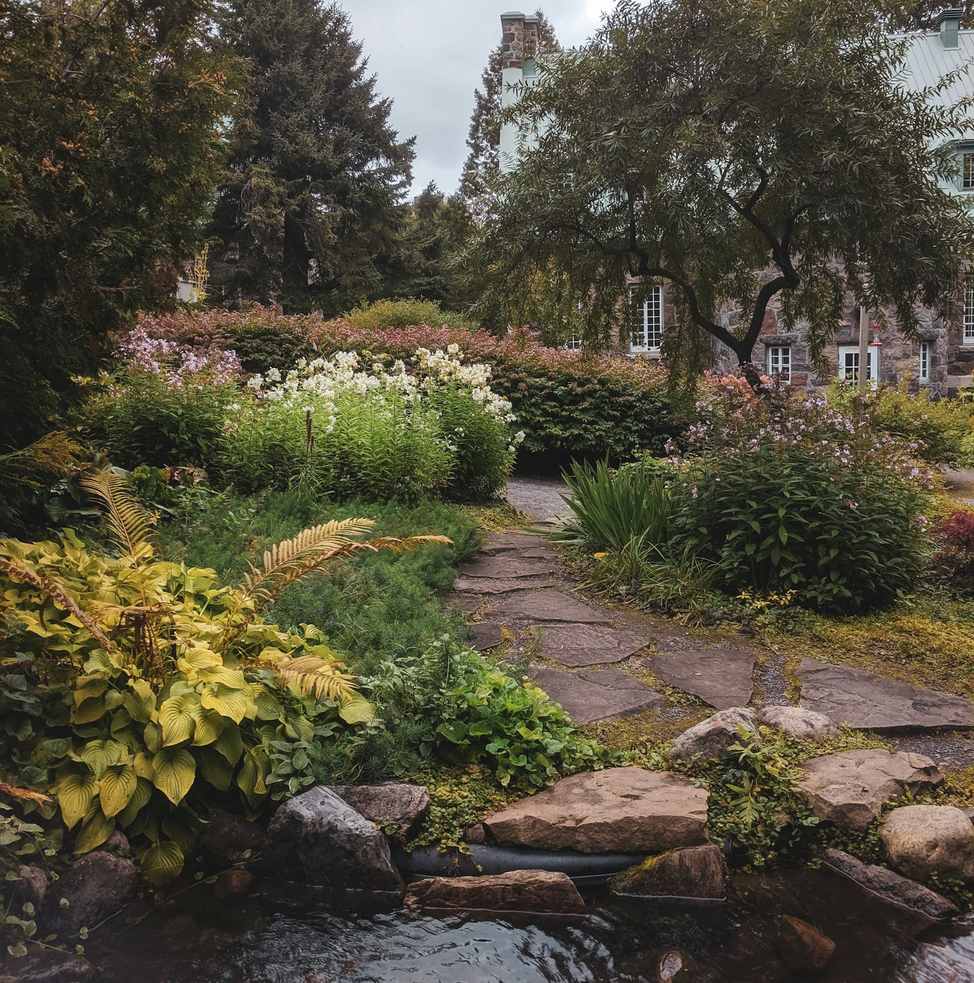 A Mindful Sit with Sweet Marjoram