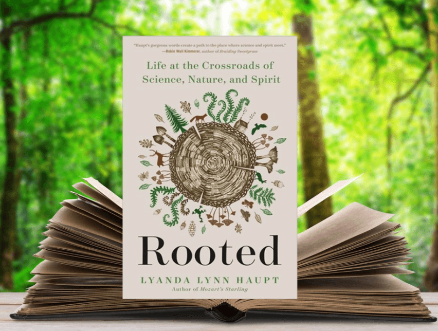 Rooted: Life at the Crossroads of Science, Nature and Spirit