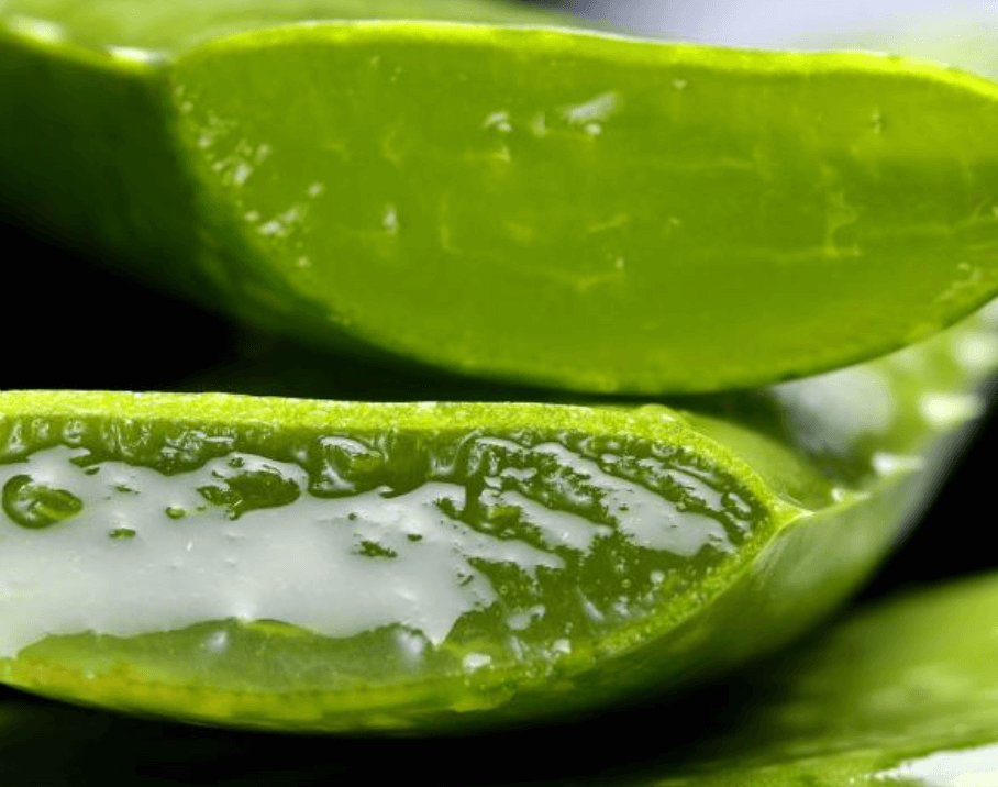 Cooling Aloe for Sun-Kissed Skin